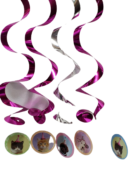Pet Party Spiral Decorations With Stickers