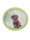 Pet Party Dog Dessert Plates (8ct)